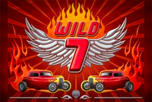 Wild 7
