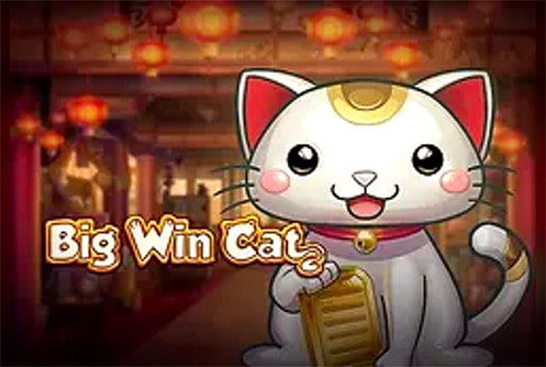 Big Win Cat