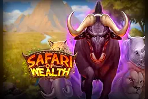 Safari of Wealth