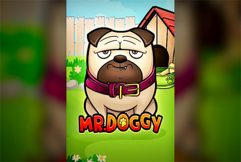 Mr.Doggy
