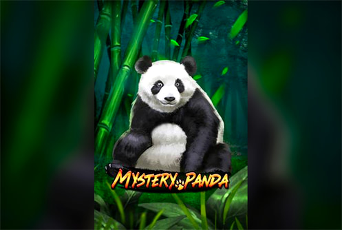 Mystery Panda